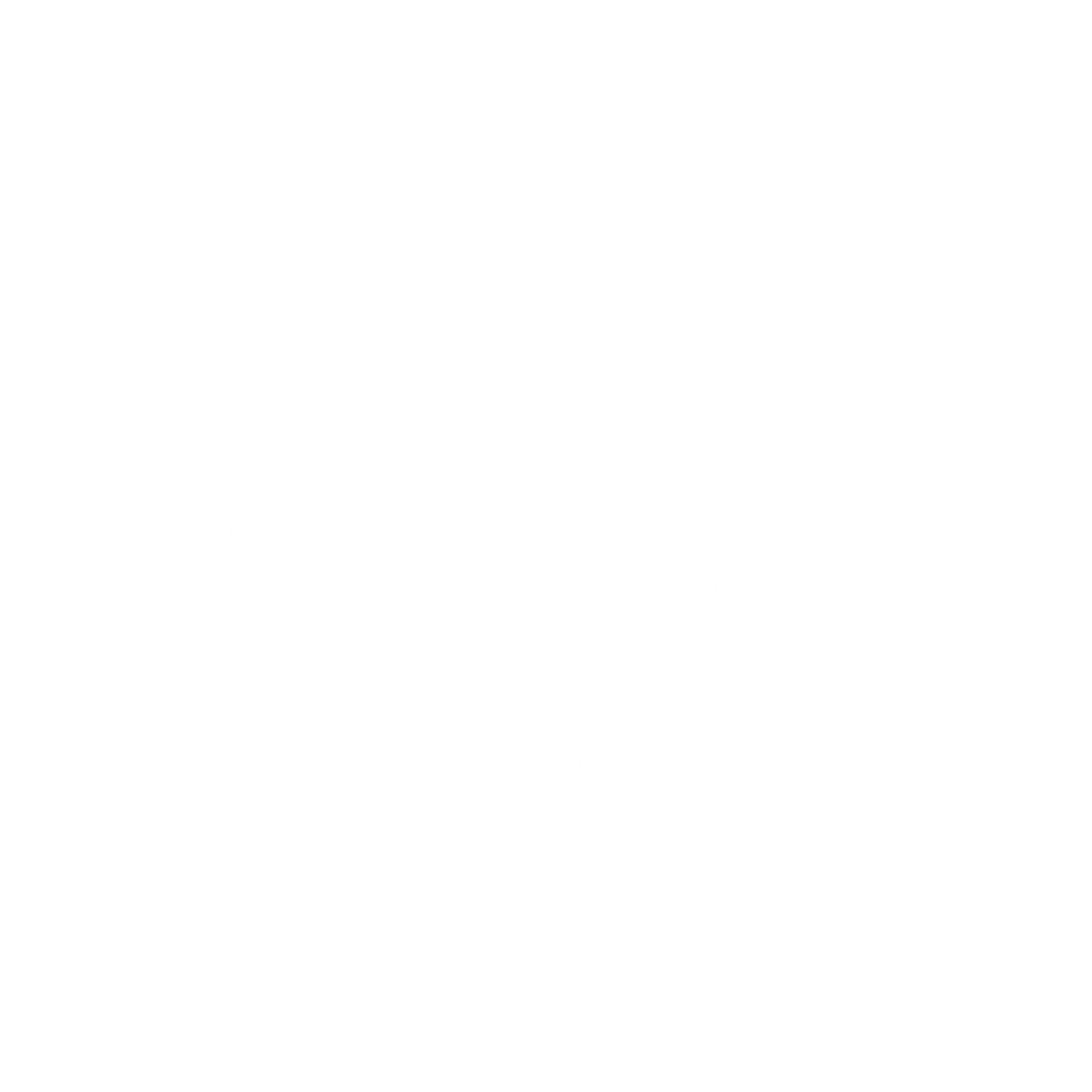 Crown Realtors